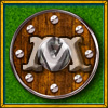 Master of offline tournament 'HeroesLands4' in 2007